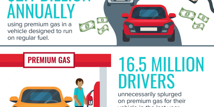 Premium Gasoline Infographic